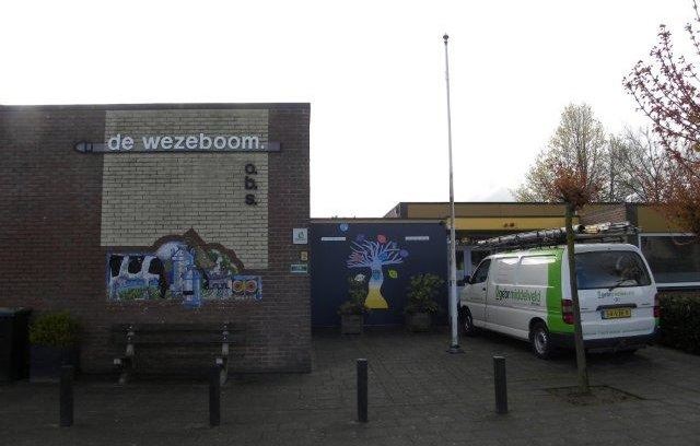 wezeboom onderhoud cv